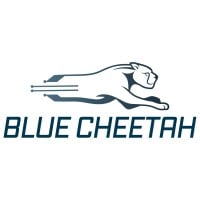 https://cdn.builtin.com/cdn-cgi/image/f=auto,fit=scale-down,w=200,h=200/https://builtin.com/sites/www.builtin.com/files/2022-12/Blue Cheetah Analog Design.jpg Logo